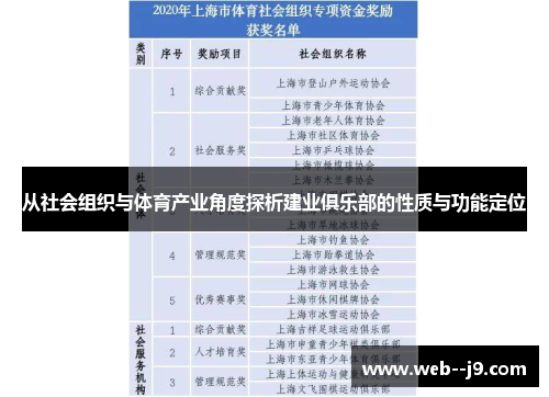 从社会组织与体育产业角度探析建业俱乐部的性质与功能定位