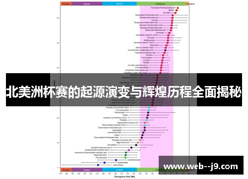 北美洲杯赛的起源演变与辉煌历程全面揭秘