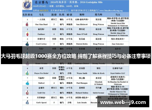 大马羽毛球超级1000赛全方位攻略 提前了解赛程技巧与必备注意事项