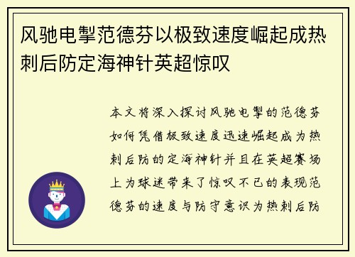 风驰电掣范德芬以极致速度崛起成热刺后防定海神针英超惊叹